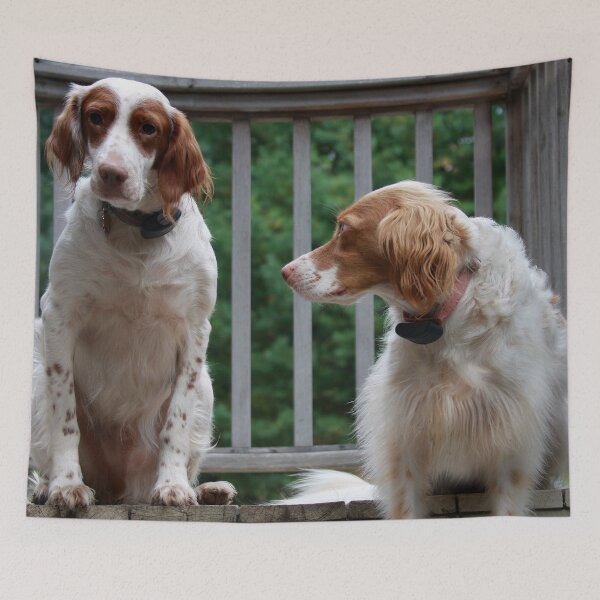 Item preview, Dogs Watch Over Each Other designed and sold by Christine "Xine" Segalas.
