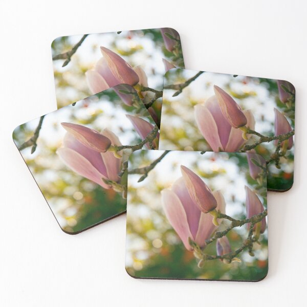 Item preview, Tulip Magnolia Buds in Golden Light — Spring Botanical Nature Photography designed and sold by kngfrank.