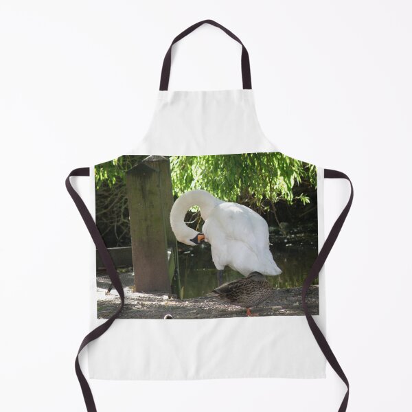 Item preview, Mute Swan Preening and sleepy duck Photograph designed and sold by naturegallery.