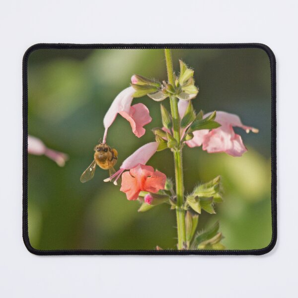 Item preview, Hang On Honey designed and sold by alanathrower.