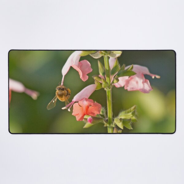 Item preview, Hang On Honey designed and sold by alanathrower.
