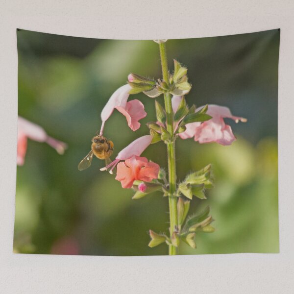 Item preview, Hang On Honey designed and sold by alanathrower.