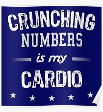 Humorous Accountant Shirt Crunching Numbers Poster