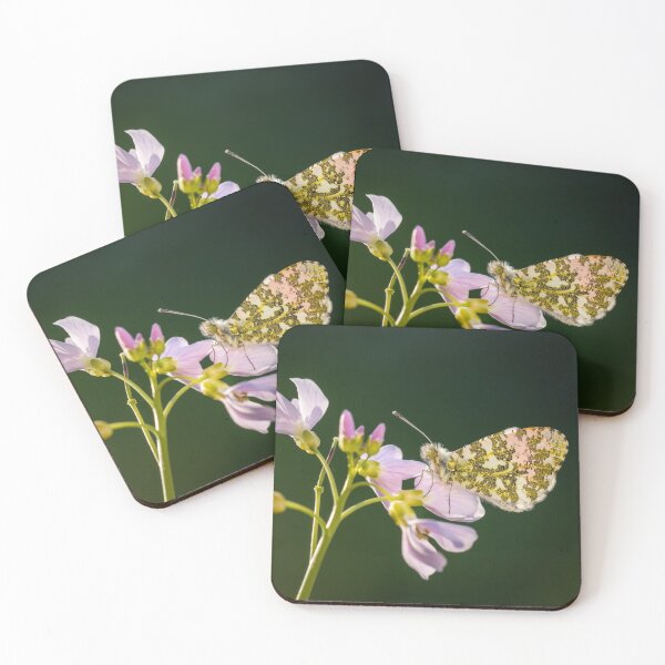 Item preview, Orange Tip Butterfly on Cuckoo Flower designed and sold by Alec Stewart.