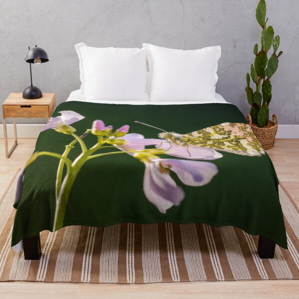 Item preview, Orange Tip Butterfly on Cuckoo Flower designed and sold by Alec Stewart.