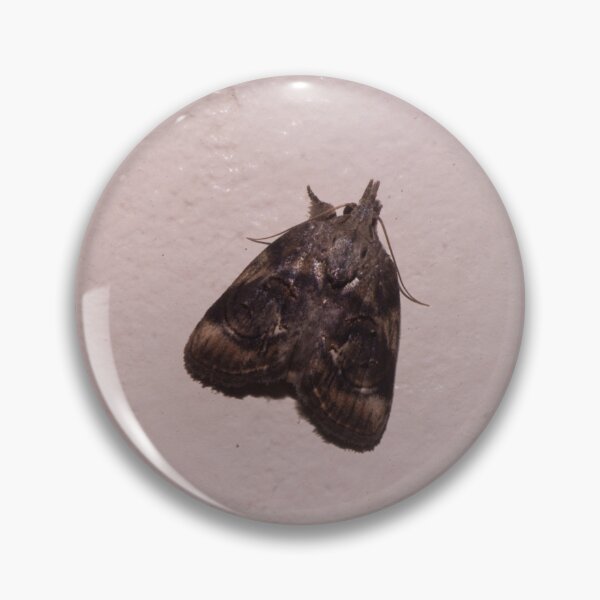 Item preview, Green Cloverworm Moth designed and sold by ROSE ANN BANILAR.