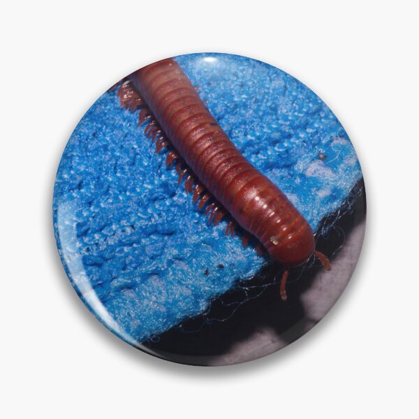Item preview, rusty millipede designed and sold by ROSE ANN BANILAR.