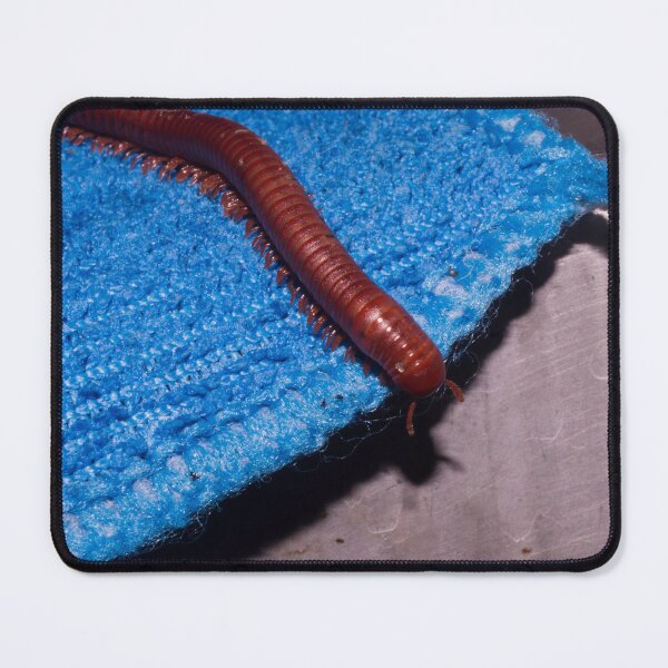 Item preview, rusty millipede designed and sold by ROSE ANN BANILAR.