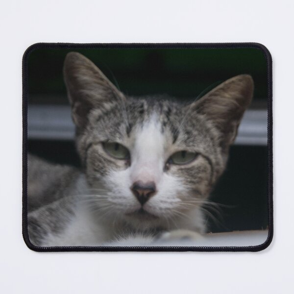 Item preview, Curious Cat designed and sold by ROSE ANN BANILAR.