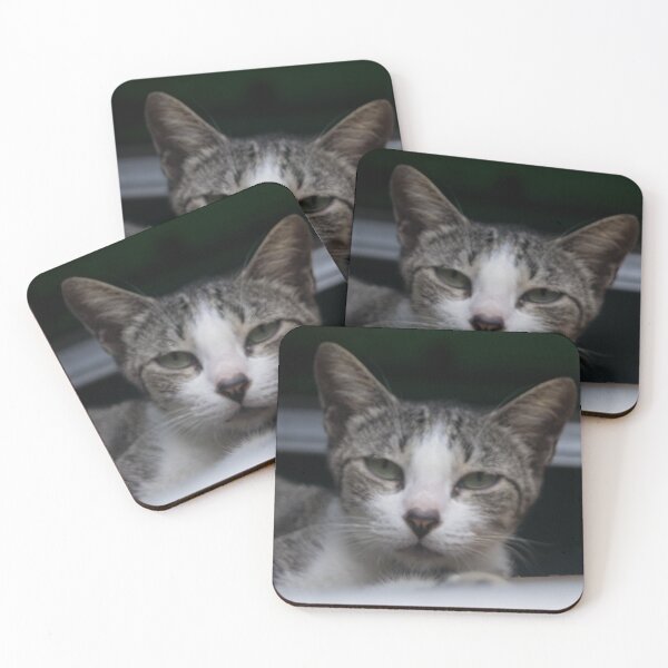 Item preview, Curious Cat designed and sold by ROSE ANN BANILAR.