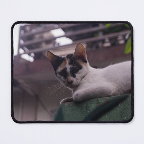 Item preview, Looking Cat  designed and sold by ROSE ANN BANILAR.