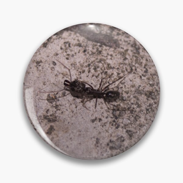 Item preview, trap-jaw ant designed and sold by ROSE ANN BANILAR.