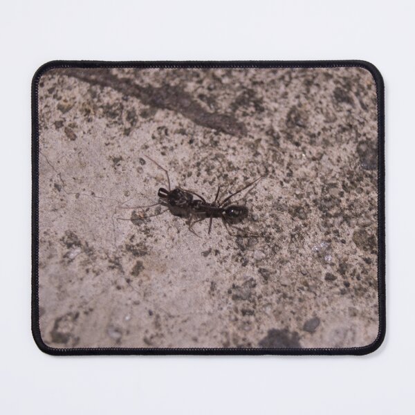 Item preview, trap-jaw ant designed and sold by ROSE ANN BANILAR.
