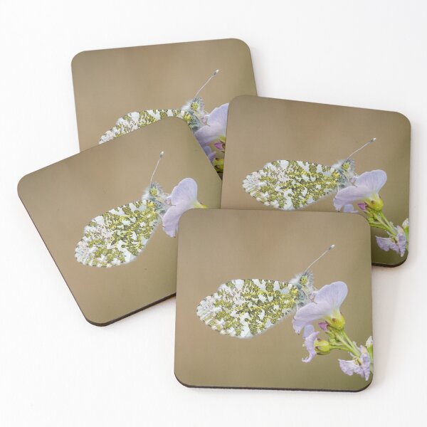 Item preview, Orange Tip Butterfly designed and sold by Alec Stewart.