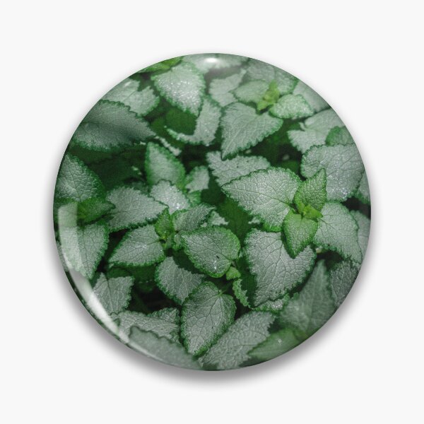 Item preview, Lush Silvery Spotted Dead Nettle Groundcover designed and sold by ADAG-ART.