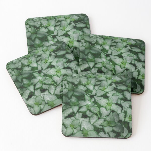 Item preview, Lush Silvery Spotted Dead Nettle Groundcover designed and sold by ADAG-ART.