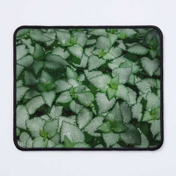 Item preview, Lush Silvery Spotted Dead Nettle Groundcover designed and sold by ADAG-ART.