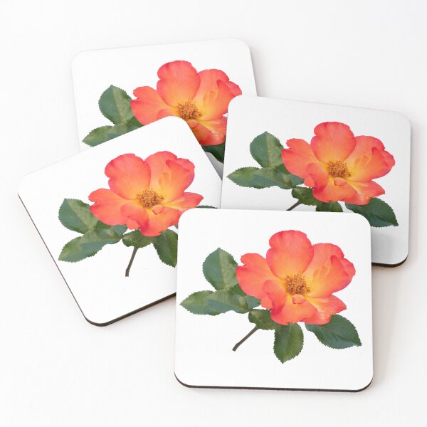 Item preview, Beautiful garden rose closeup designed and sold by KRFNatureGifts.