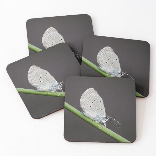 Item preview, Small Blue Butterfly designed and sold by Alec Stewart.