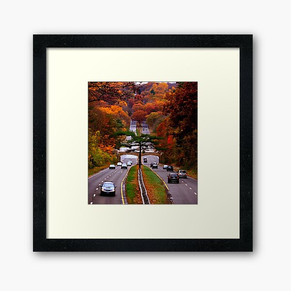 Connecticut - Autumn on the Merritt  Framed Art Print