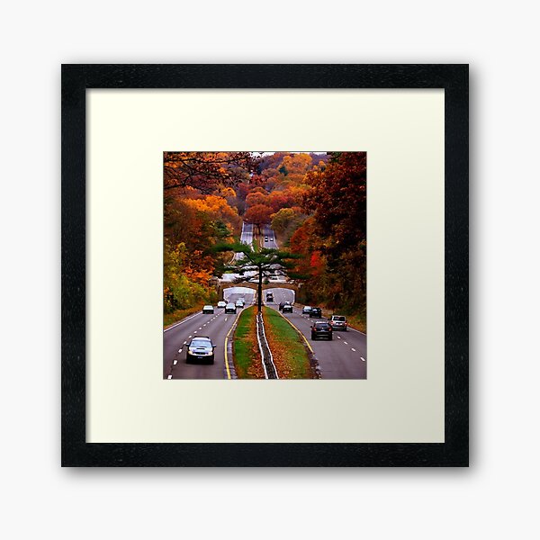 Item preview, Connecticut - Autumn on the Merritt  designed and sold by Christine "Xine" Segalas.