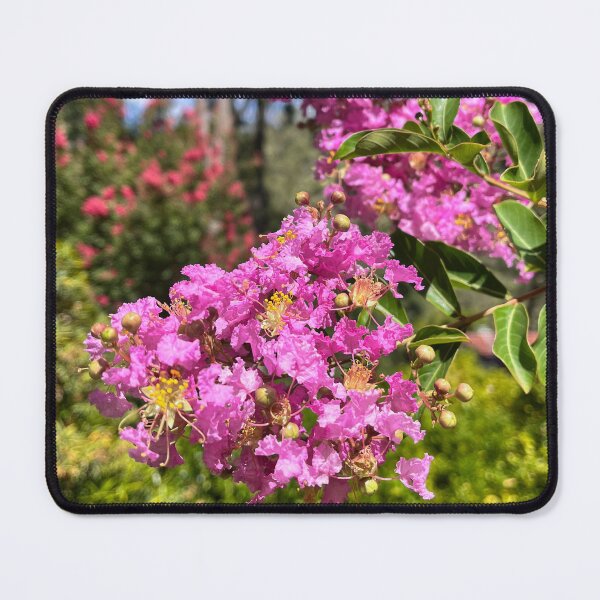 Item preview, Vibrant Pink Crepe Myrtle Against Blue Sky designed and sold by Be Captured by Brittany Emma.