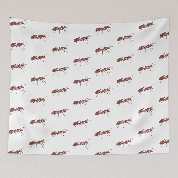 Item preview, Polygonal Brown Ant – Terrestrial Insect Illustration for Students designed and sold by bsbd-action.