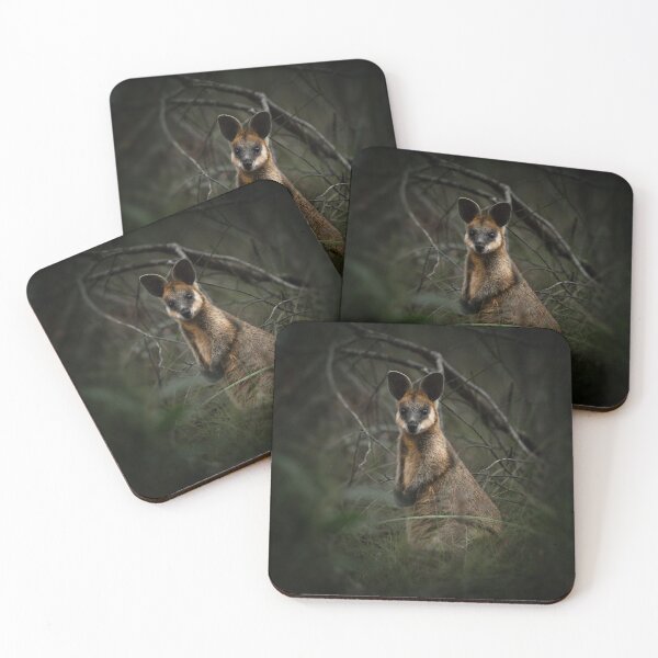 Item preview, Swamp Wallaby or Wallabia bicolor designed and sold by robdwildlife.