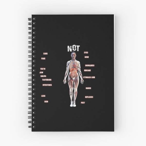 Item preview, Human Anatomy Not A Meat Eater designed and sold by bapdhjtvrf38.