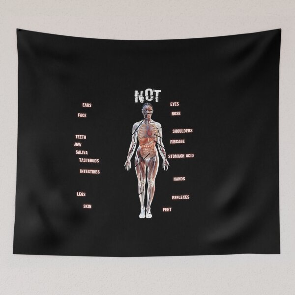 Item preview, Human Anatomy Not A Meat Eater designed and sold by bapdhjtvrf38.