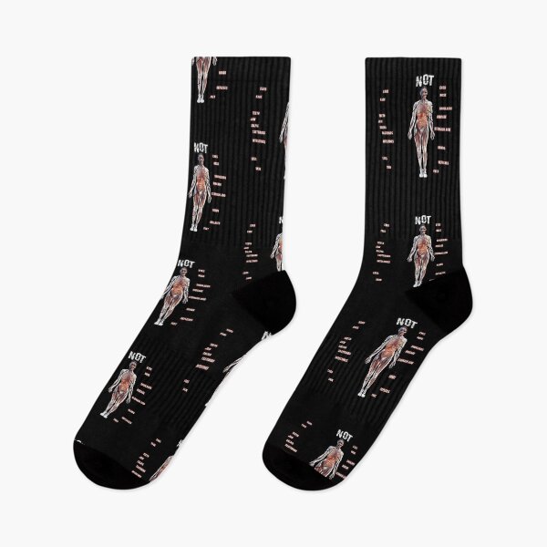 Item preview, Human Anatomy Not A Meat Eater designed and sold by bapdhjtvrf38.