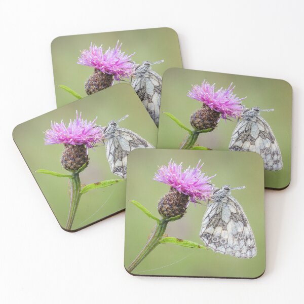 Item preview, Marbled White Butterfly on Knapweed designed and sold by Alec Stewart.
