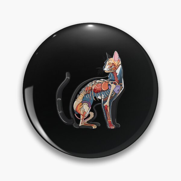 Item preview, Beautiful Cat Anatomy Diagram Art designed and sold by bapdhjtvrf38.