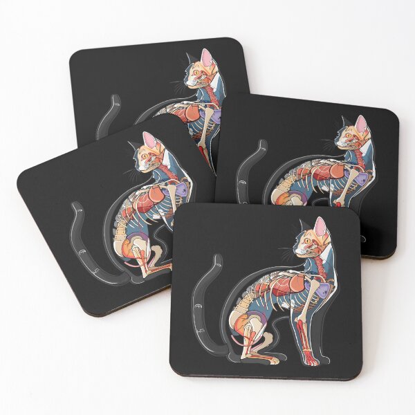 Item preview, Beautiful Cat Anatomy Diagram Art designed and sold by bapdhjtvrf38.