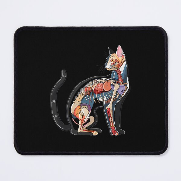 Item preview, Beautiful Cat Anatomy Diagram Art designed and sold by bapdhjtvrf38.