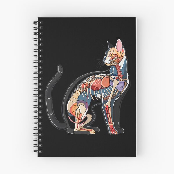 Item preview, Beautiful Cat Anatomy Diagram Art designed and sold by bapdhjtvrf38.