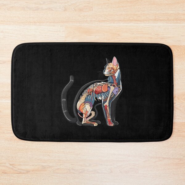 Item preview, Beautiful Cat Anatomy Diagram Art designed and sold by bapdhjtvrf38.