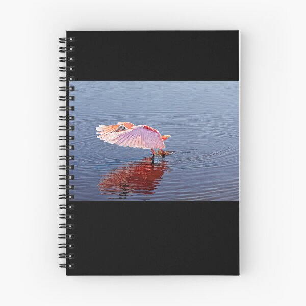 Item preview, Roseate Spoonbill designed and sold by Alex Preiss.
