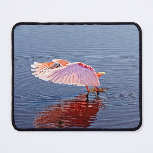 Item preview, Roseate Spoonbill designed and sold by Alex Preiss.