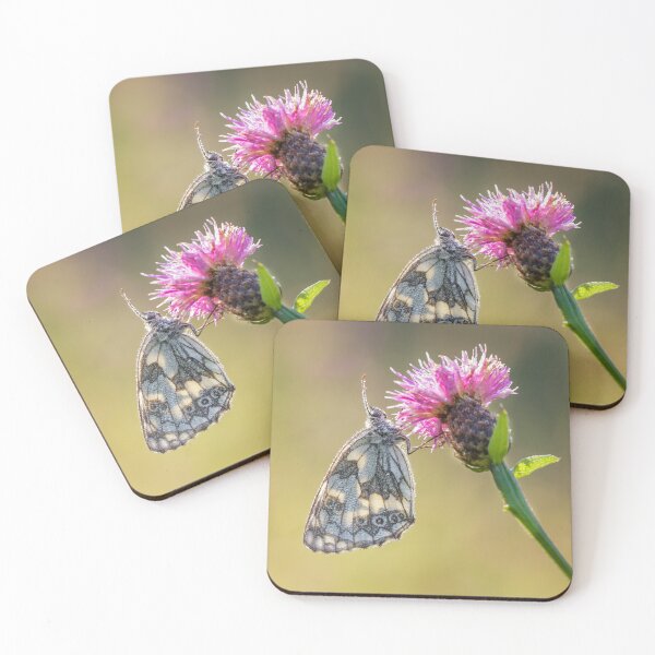 Item preview, Marbled White Butterfly Backlit designed and sold by Alec Stewart.