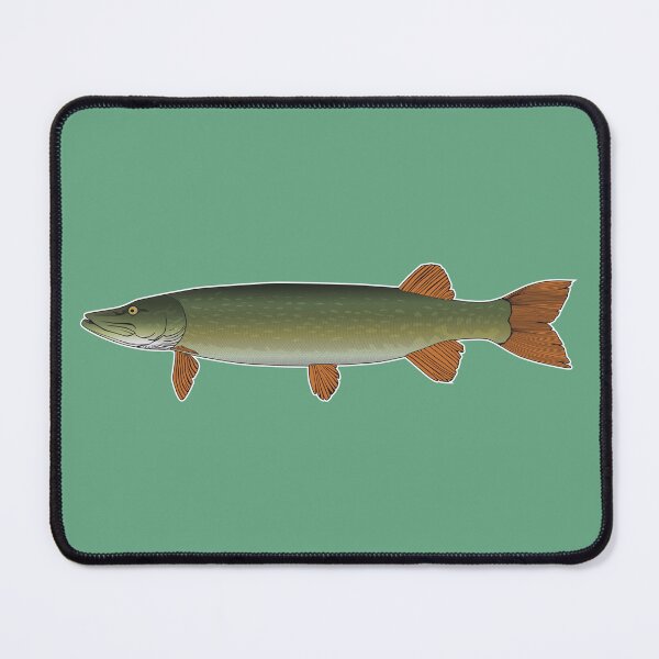 Item preview, Minimalist pike fish vector art in vibrant colors designed and sold by FAawRay.