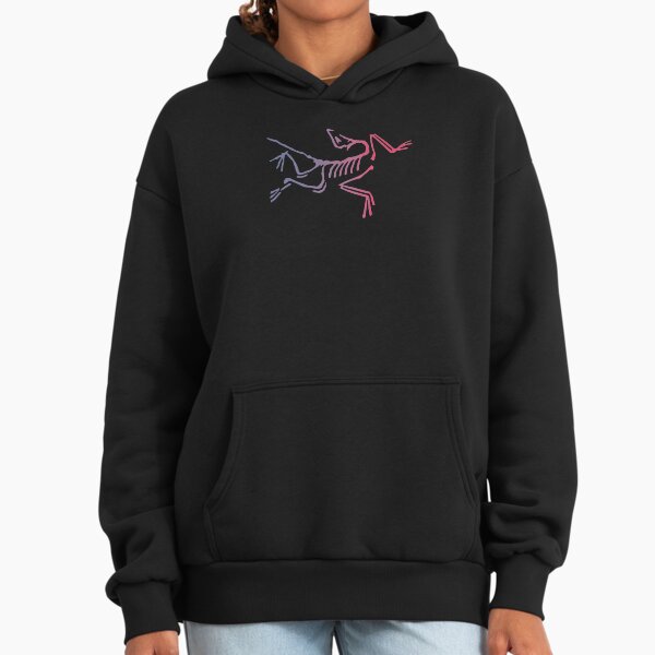 トップス Arc'teryx Archaeopteryx Pullover Hoody Arc'teryx Archaeopteryx Pullover Hoody - Men's | | CampSaver.com