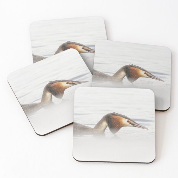 Item preview, Great Crested Grebe Up Close designed and sold by Alec Stewart.