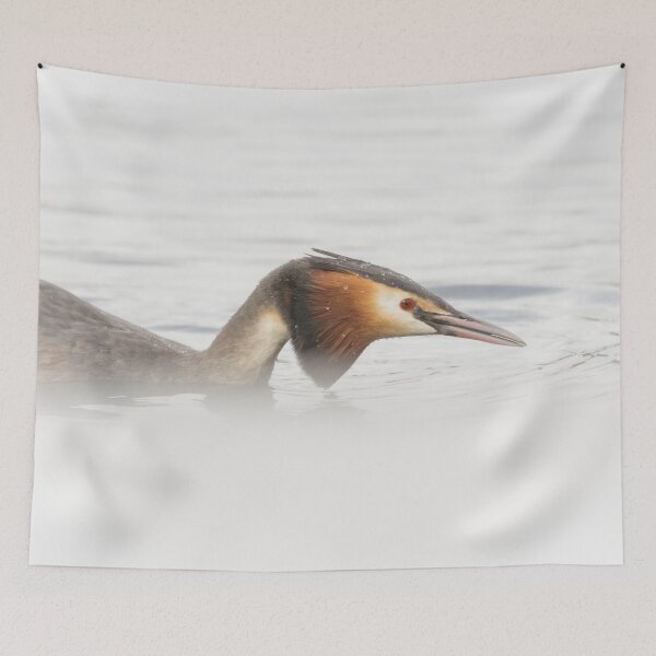 Item preview, Great Crested Grebe Up Close designed and sold by Alec Stewart.