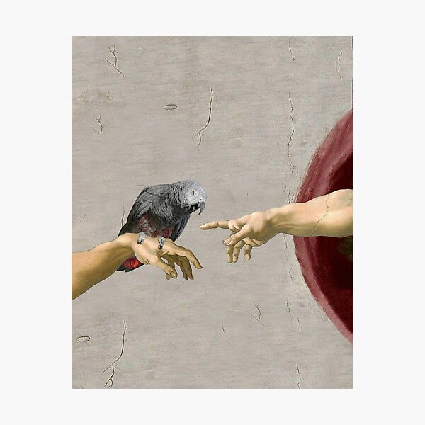 Item preview, Creation of an African Grey Parrot - Michelangelo parody designed and sold by FandomizedRose.