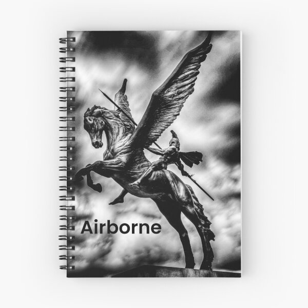 Item preview, Airborne designed and sold by NoCents.