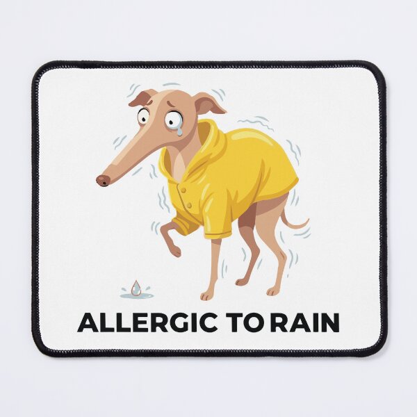 Item preview, Allergic To Rain Dramatic Italian Greyhound designed and sold by Petzzz.