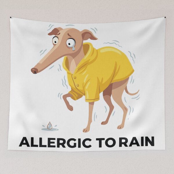 Item preview, Allergic To Rain Dramatic Italian Greyhound designed and sold by Petzzz.