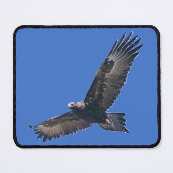 Item preview, RAPTOR ~ Wedge-tailed Eagle YZW74RQ5 by David Irwin ~ WO designed and sold by tasmanianartist.