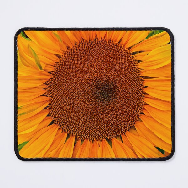 Item preview, Sunny Sunflower head designed and sold by Dalyndigital Photography.